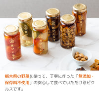 宮ぴくるす 無添加ピクルス6個セット｜栃木産野菜×老舗酢蔵仕込み