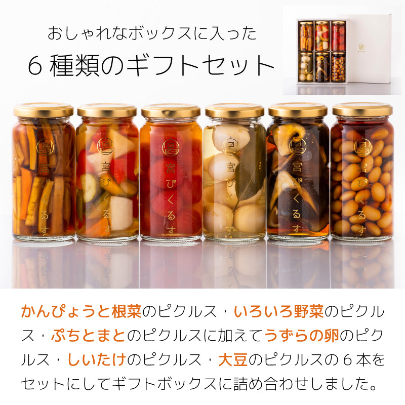 宮ぴくるす 無添加ピクルス6個セット｜栃木産野菜×老舗酢蔵仕込み