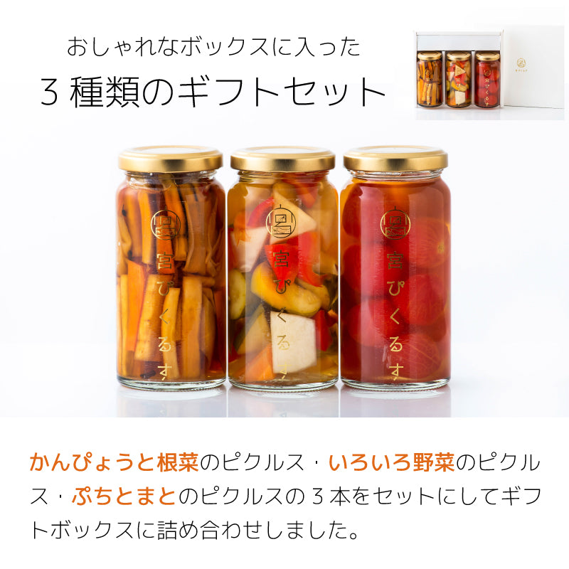 宮ぴくるす 無添加ピクルス6個セット｜栃木産野菜×老舗酢蔵仕込み