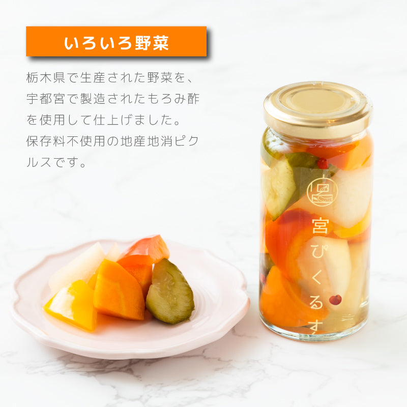 宮ぴくるす 無添加ピクルス6個セット｜栃木産野菜×老舗酢蔵仕込み