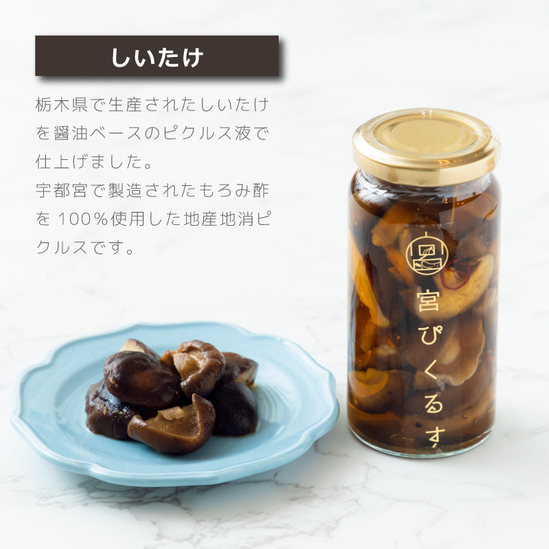 宮ぴくるす 無添加ピクルス6個セット｜栃木産野菜×老舗酢蔵仕込み