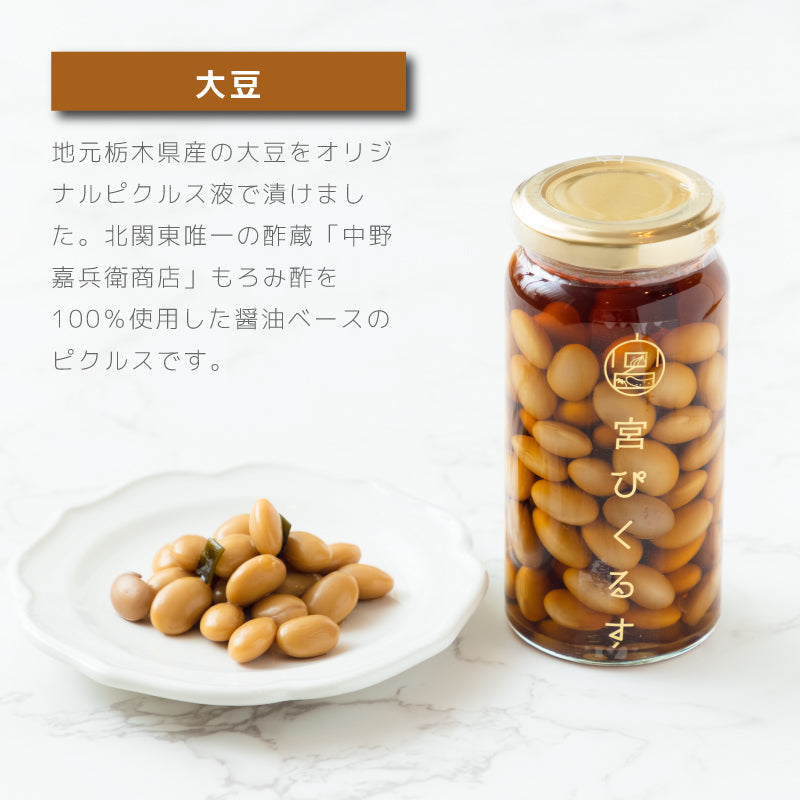 宮ぴくるす 無添加ピクルス6個セット｜栃木産野菜×老舗酢蔵仕込み
