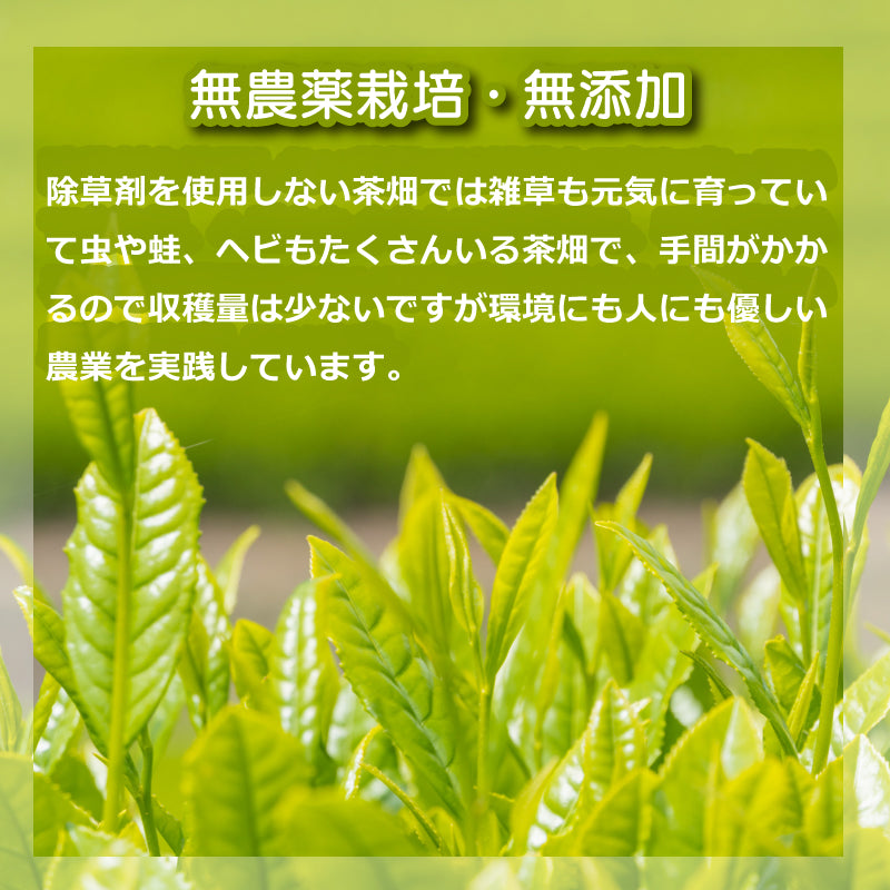 無農薬栽培「うれしの紅茶」リーフ or ティーバッグ